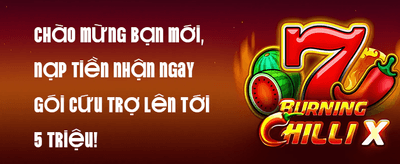 Thưởng Chào Mừng VIP promotion